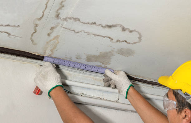 Reliable Burst Pipe Cleanup contractor in Gunlock, UT by Water Damage Irwin